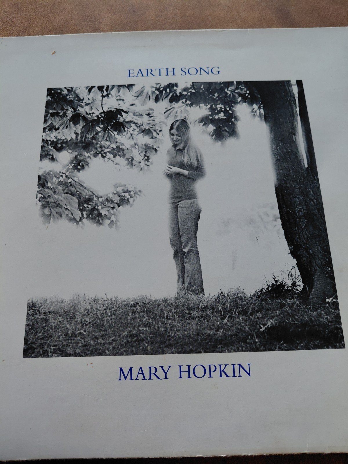 Mary Hopkin - Earth Song / Ocean Song LP (1971), LP, Gebruikt, Pop, Ophalen of Verzenden