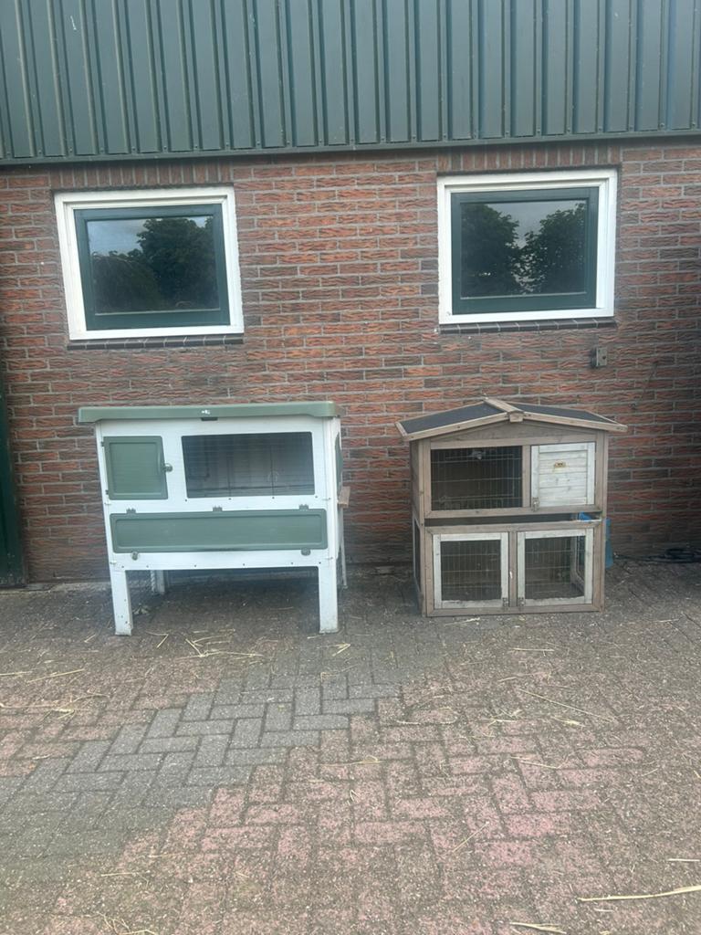 Konijnen hokken, Ophalen, 90 cm of meer, Hok, 110 cm of meer