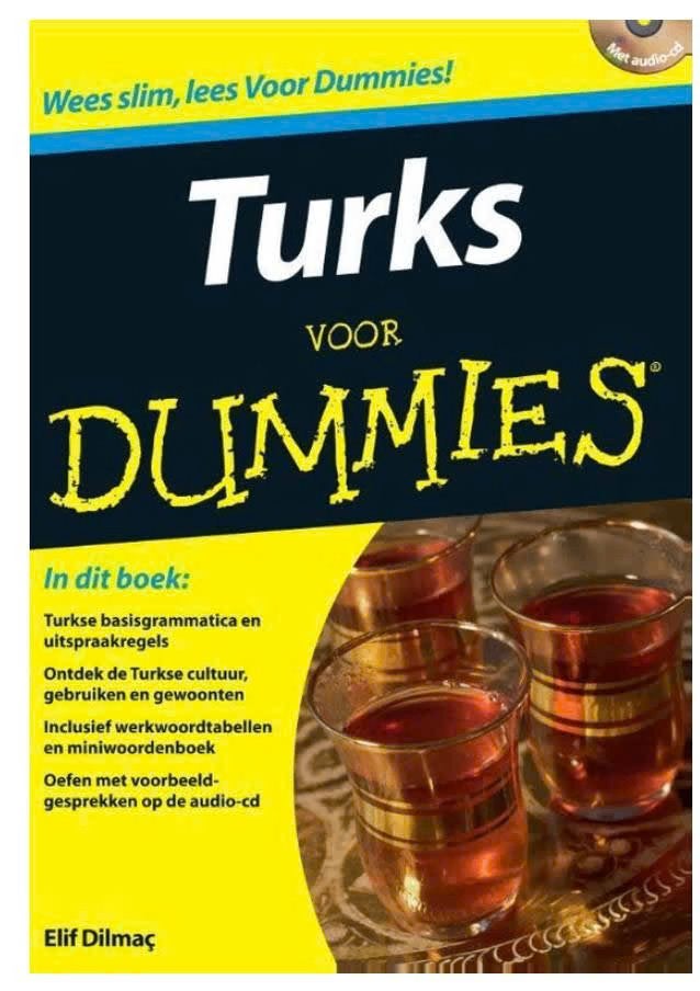 Turks voor dummies (met CD), Ophalen of Verzenden, Zo goed als nieuw