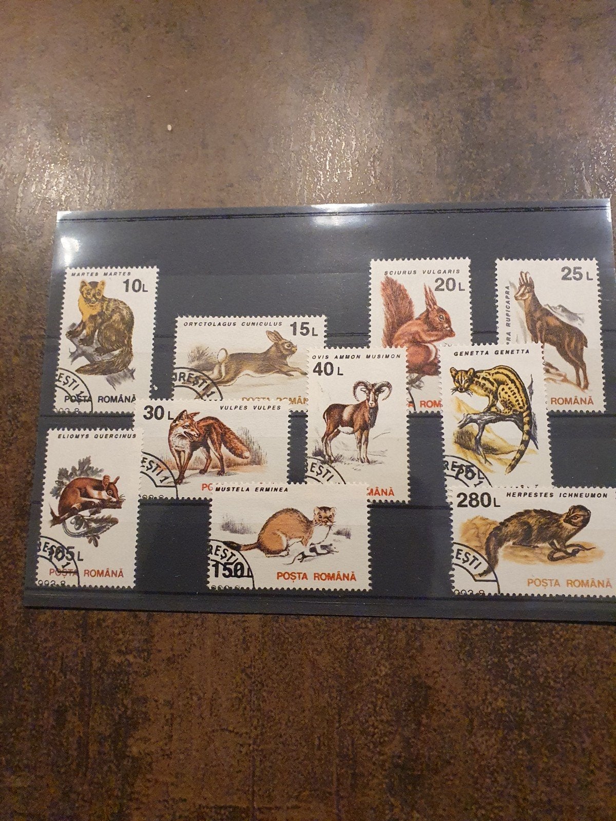 Roemenie: Roemeense postzegels met dieren - Diverse waarden, Ophalen of Verzenden, Dier of Natuur