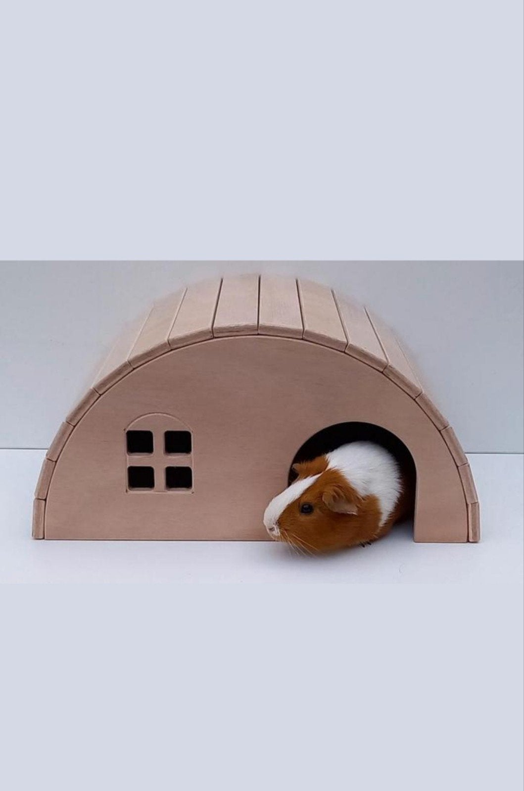 ‼️NIEUWE KNAAGDIEREN HUISJES SCHUILPLAATS KONIJN HAMSTER, Dieren en Toebehoren, Ophalen of Verzenden, Nieuw, Overige typen