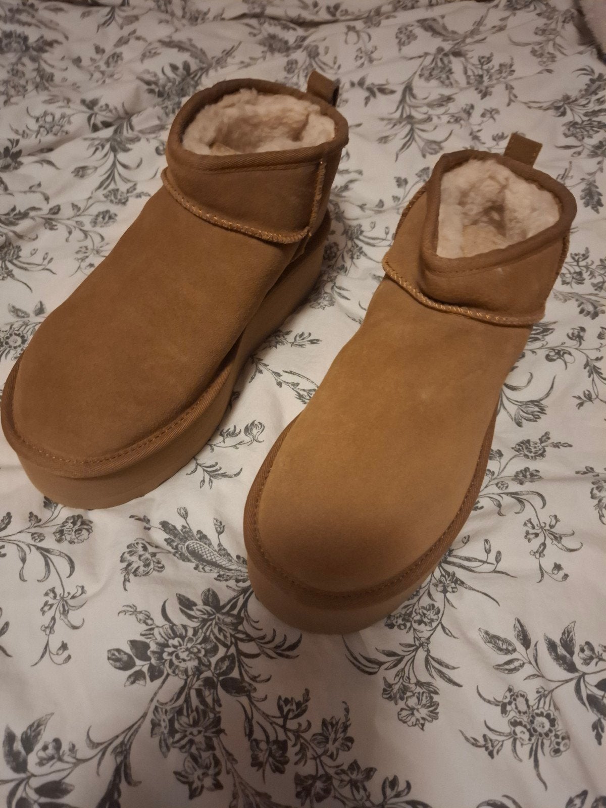 Echte UGGs - Cognac - Maat 39 - Nooit gedragen, Ophalen, UGG, Bruin, Lage of Enkellaarzen