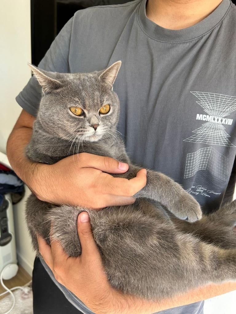 Dekkater Beschikbaar (niet te koop), 0 tot 2 jaar