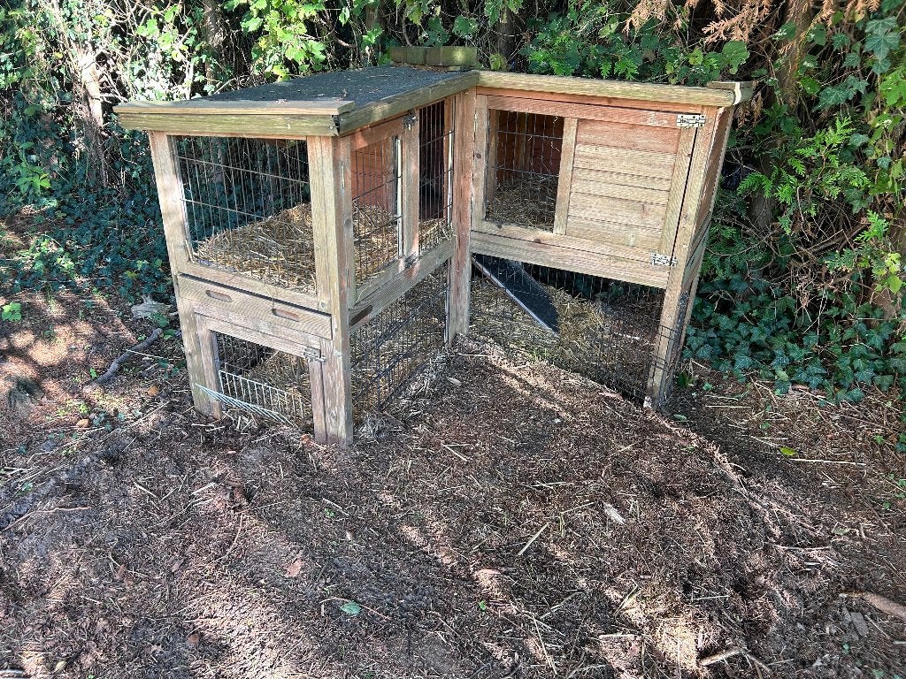 Konijnenhok gratis, Dieren en Toebehoren, Ophalen, 60 tot 90 cm, Konijn, Hok