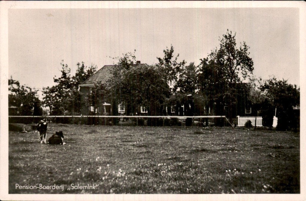 Varsseveld - Pension-Boerderij - Salemink, Ophalen of Verzenden, 1920 tot 1940, Ongelopen, Gelderland