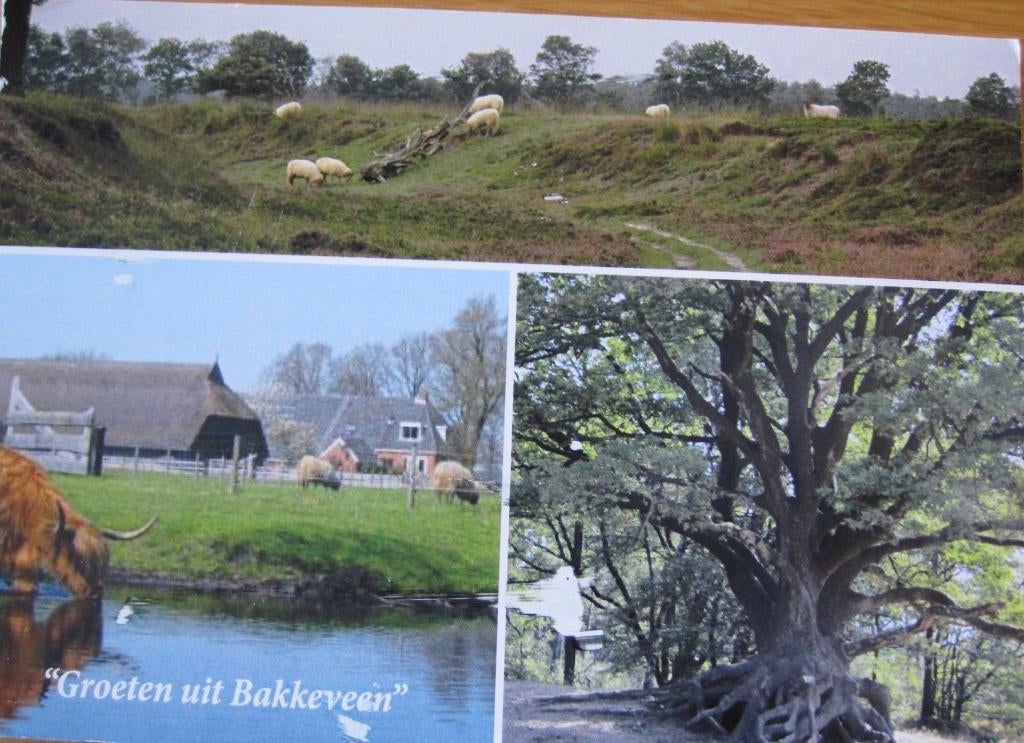 Groeten uit Bakkeveen - Friesland, Verzenden, 1980 tot heden, Gelopen, Friesland