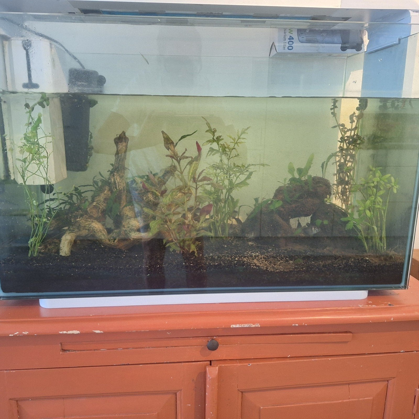 Gratis aquarium met tropische vissen en pomp, Dieren en Toebehoren, Vissen | Aquaria en Toebehoren, Ophalen