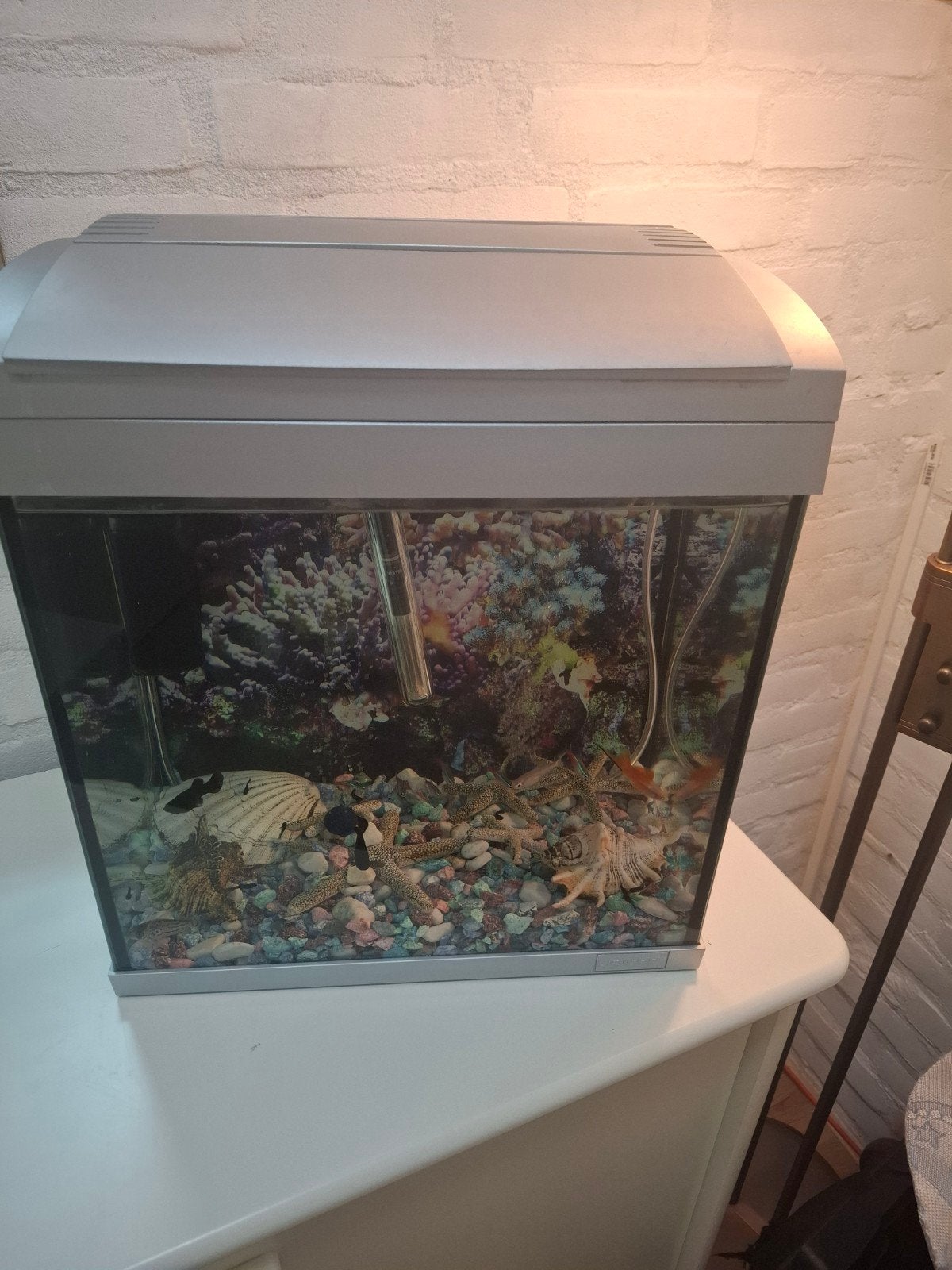 Compleet aquarium 30 liter met vissen, Ophalen, Zo goed als nieuw, Gevuld zoetwateraquarium