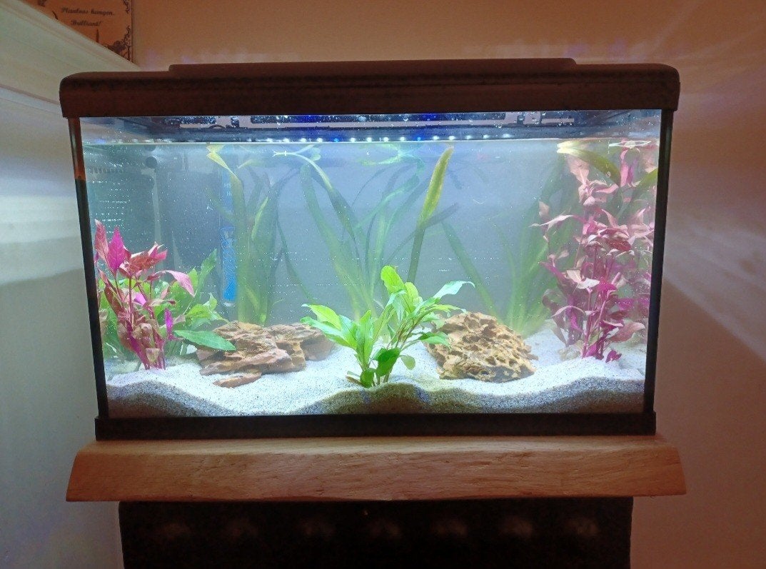 Aquarium HS Aqua Platy 70 en toebehoren, Dieren en Toebehoren, Ophalen, Gebruikt, HS Aqua, Leeg aquarium