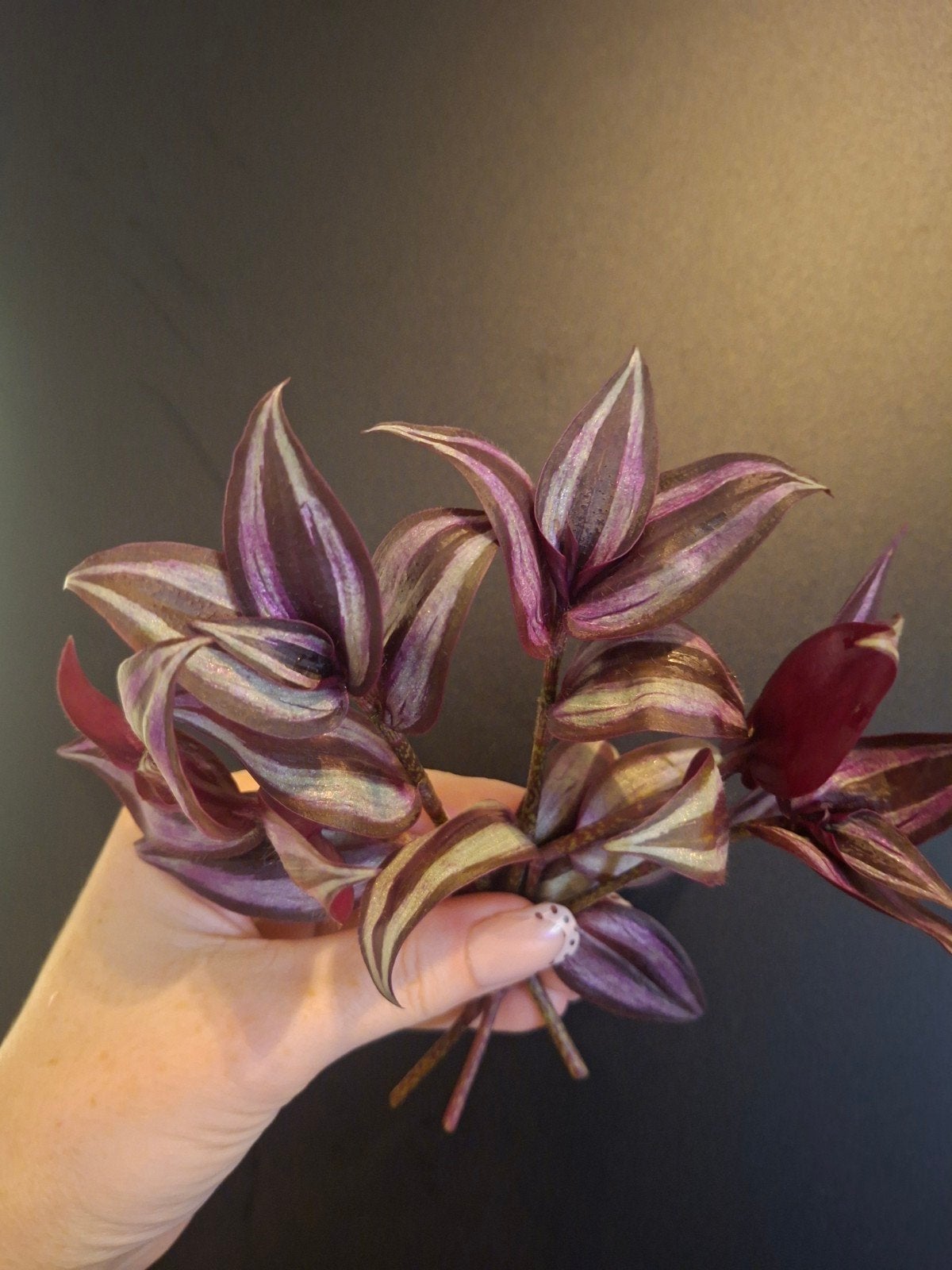 💜🍀 Tradescantia Zebrina stekken 🍀💜, Huis en Inrichting, Verzenden, Nieuw