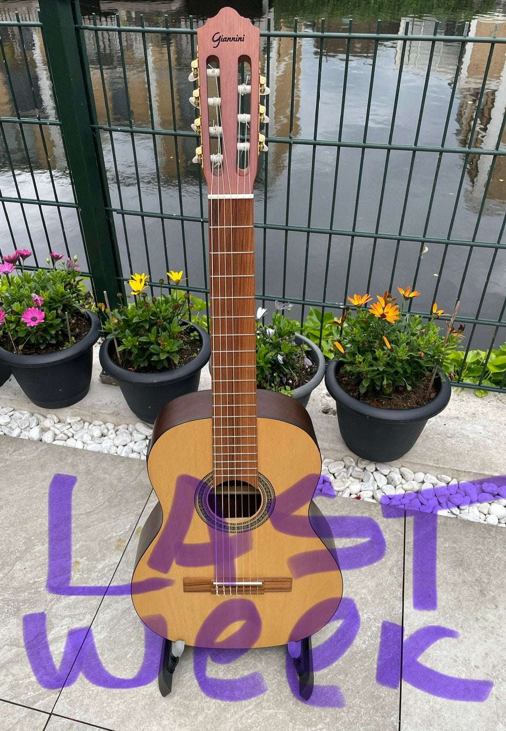 7‑String Professional Brazilian Classical Guitar Giannini, Ophalen, Zo goed als nieuw, Klassieke of Spaanse gitaar