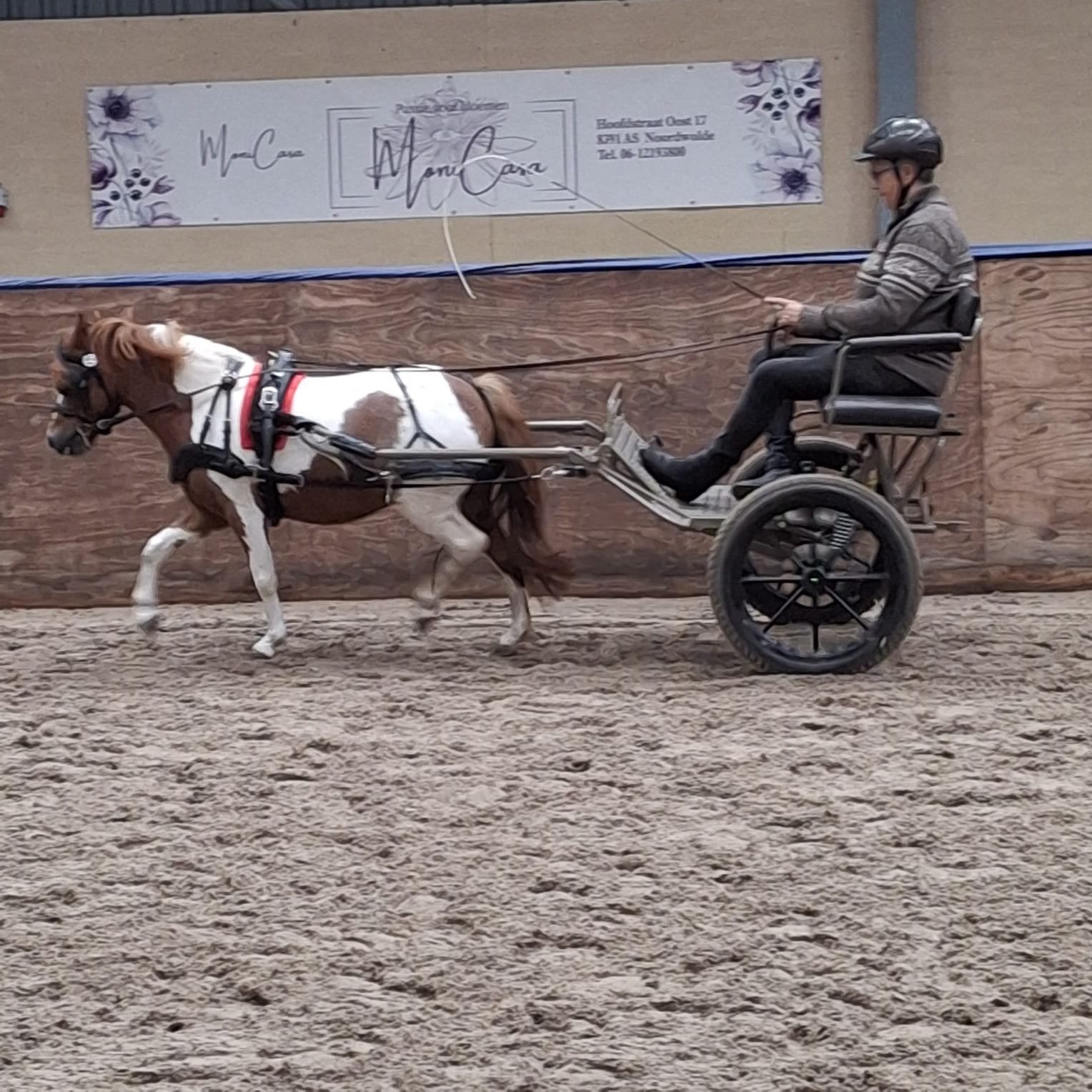 Hans van der Mee sulky, Dieren en Toebehoren, Zo goed als nieuw, Sulky, Pony