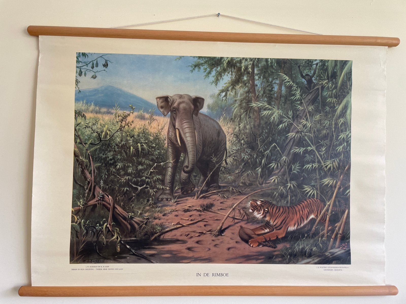 Vintage Schoolplaat 'In de Rimboe' M.A. Koekkoek, Ophalen of Verzenden, Natuur en Biologie