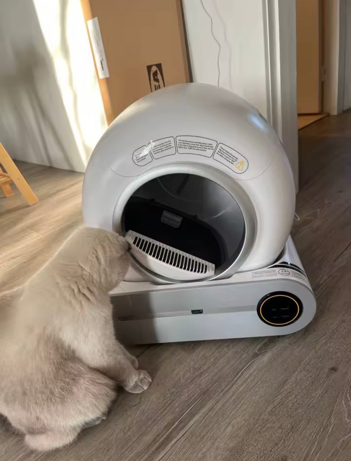Nieuw automatische kattenbak, Ophalen of Verzenden, Nieuw
