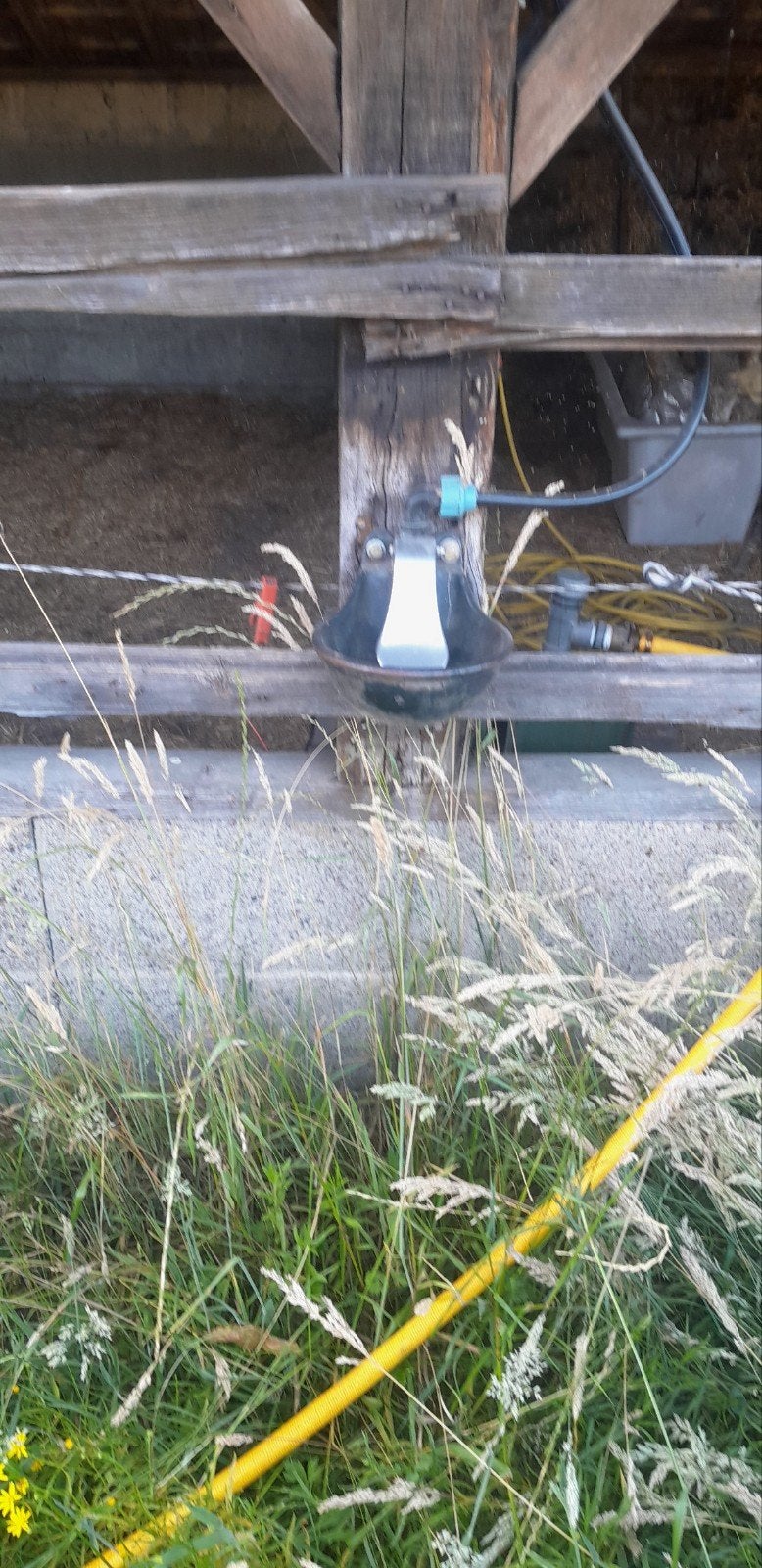 Weidegang een of twee pony's/paarden
Ca 0.5ha
Inloopstal, Weidegang