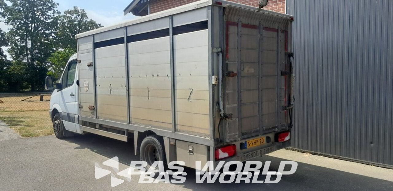 Mercedes Sprinter 519 CDI Euro 5 Automaat Horse Van Achterkl, Auto's, Automaat, Euro 5, Gebruikt, 150 pk
