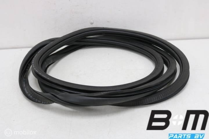 Portierrubber rechtsachter VW Tiguan 5NA 5NA867914B, Gebruikt