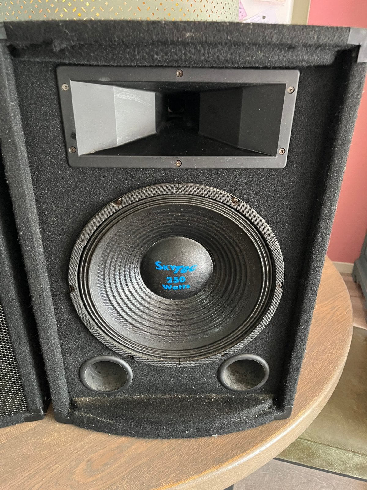 Skytec PA speakers 250 watt, Gebruikt, Overige typen, Ophalen, 150 watt of meer