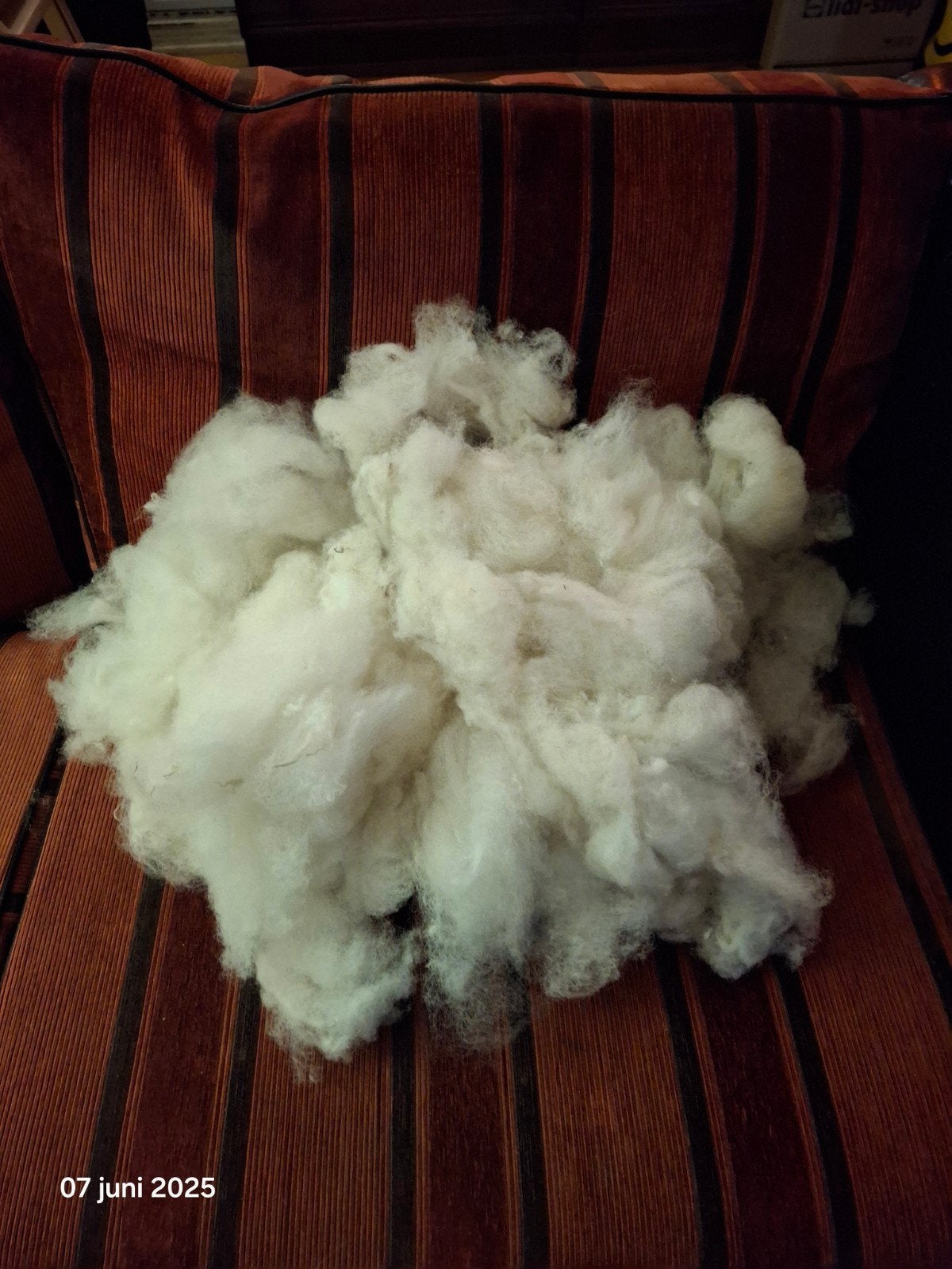 1 kussensloop van 1 kilo 25 euro gewassen texels wol, Hobby en Vrije tijd, Ophalen of Verzenden, Nieuw, Breien of Haken, Wol of Garen