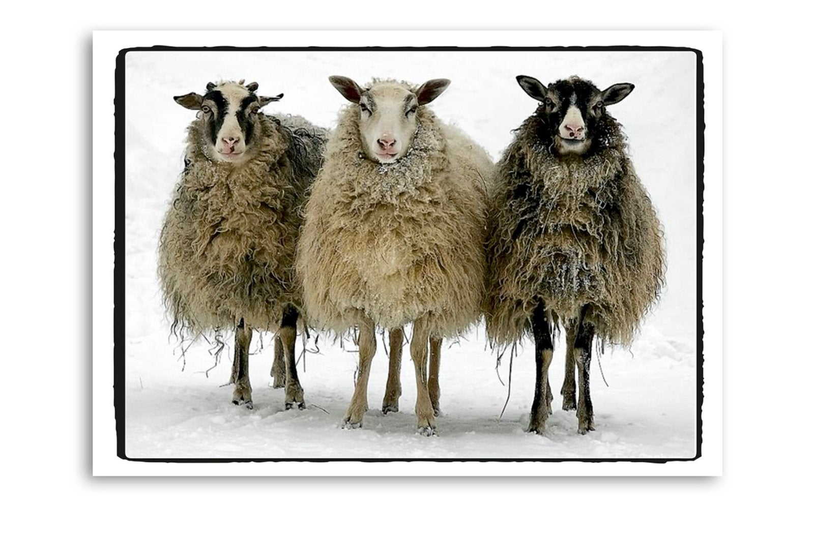 Canvas wandkleed van MO CA gekreukt, Huis en Inrichting, 50 – 75, Overige typen, Ophalen of Verzenden, Zo goed als nieuw