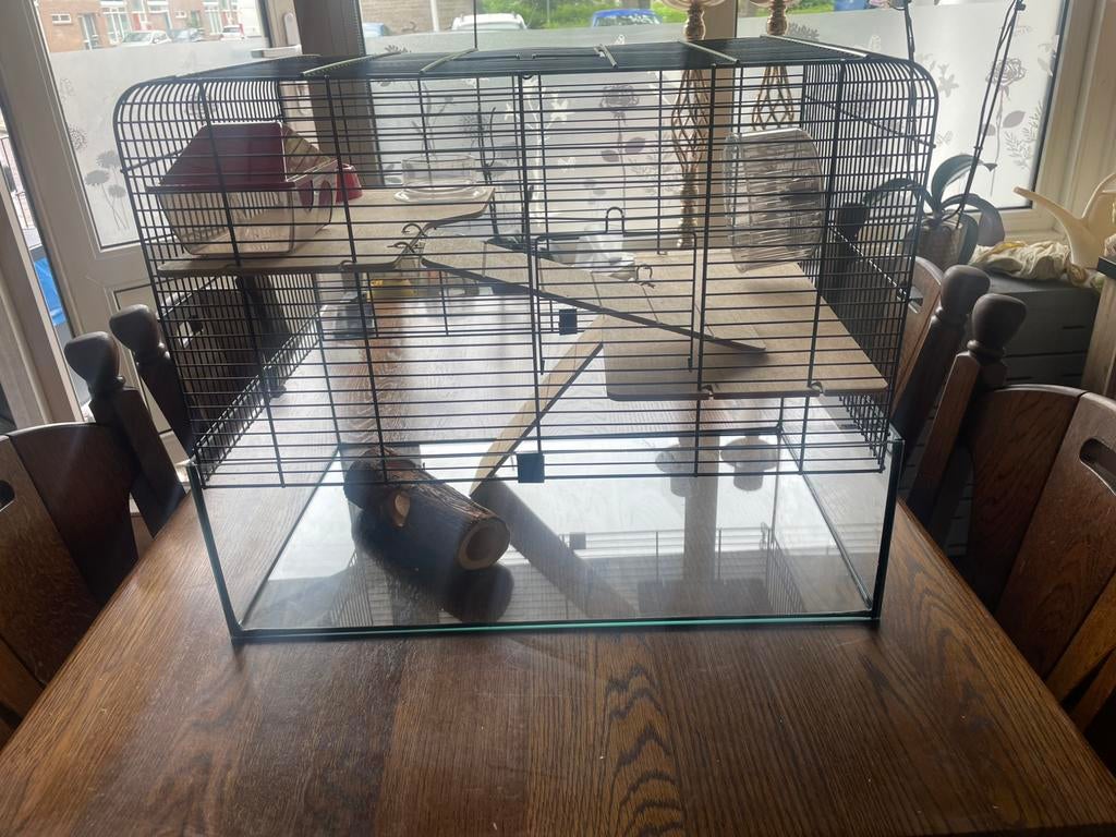 Hamster kooi, Minder dan 60 cm, Kooi, Minder dan 75 cm, Ophalen of Verzenden