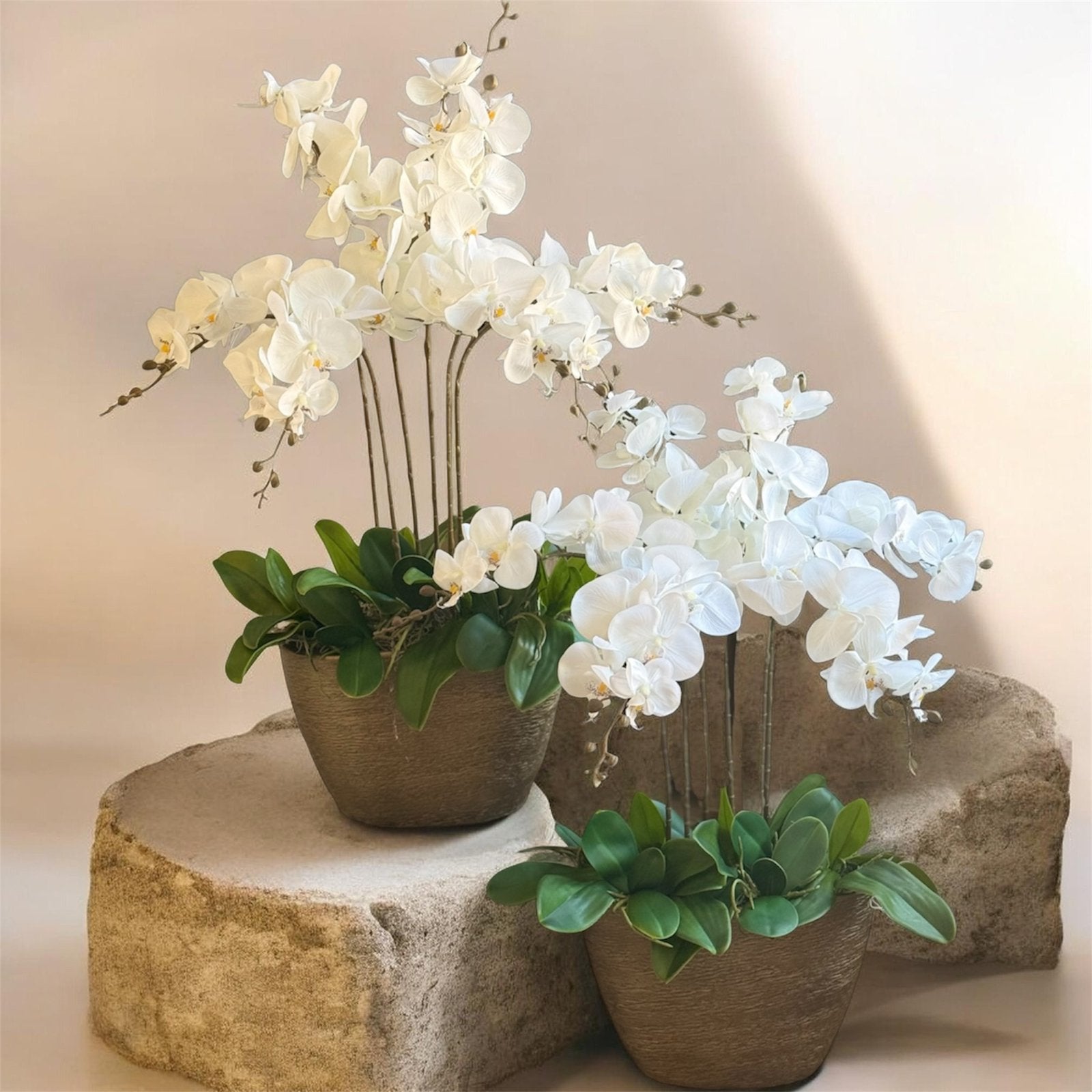 Zijden orchideeën opgemaakt in verschillende potten/ vazen, Ophalen, 90 cm, Handgemaakt, Emerald Eternal Green