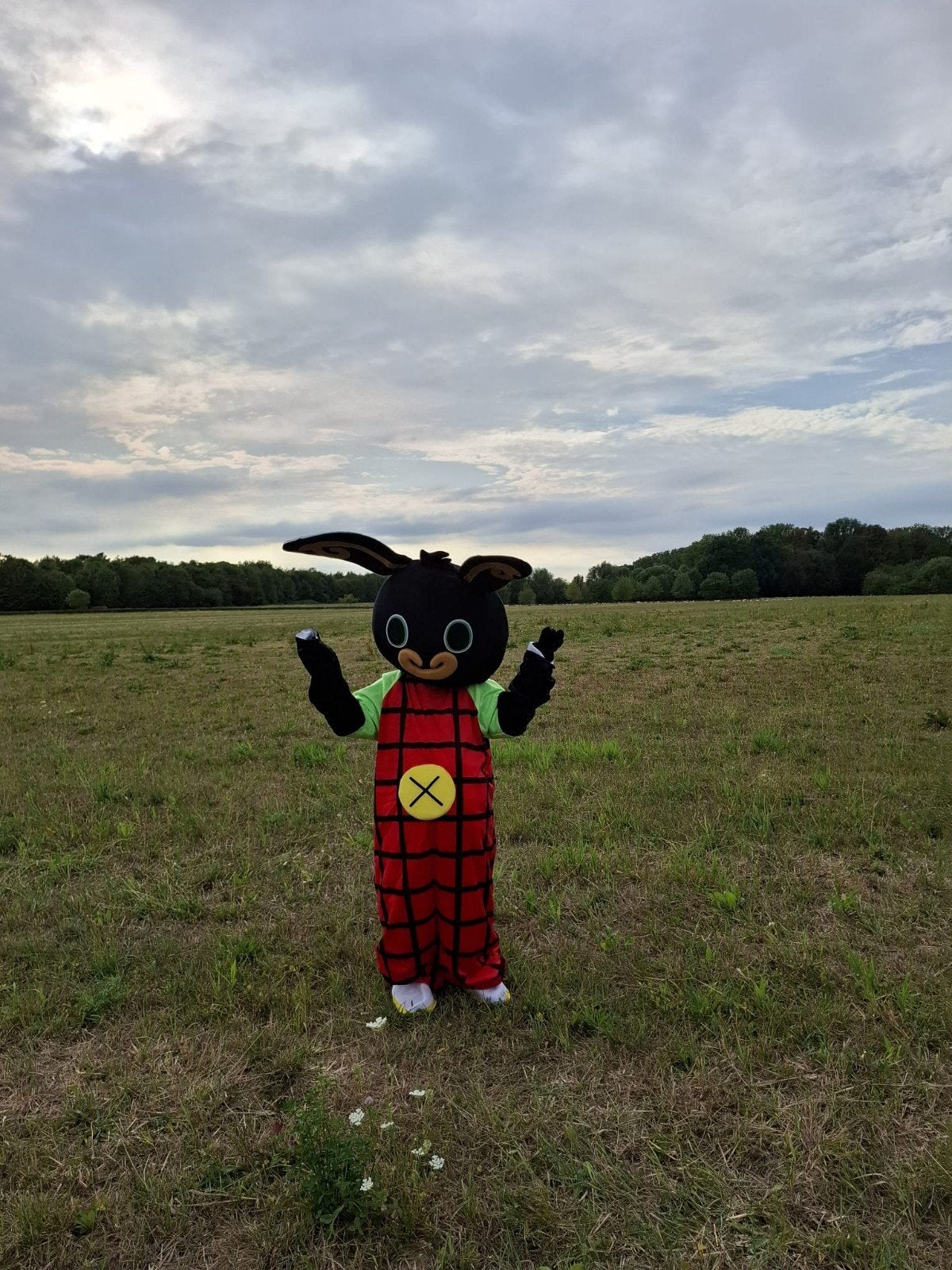 Bing mascotte te huur met of zonder acteur, Ophalen of Verzenden