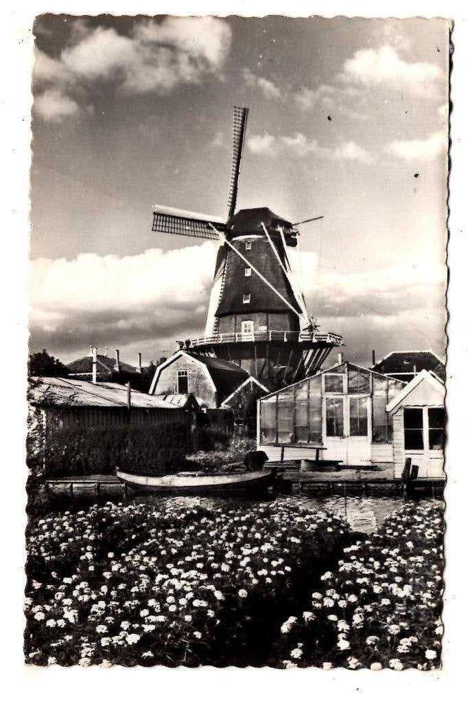 Aalsmeer Molen  Zijdstraat, Ophalen of Verzenden, 1940 tot 1960, Ongelopen, Noord-Holland