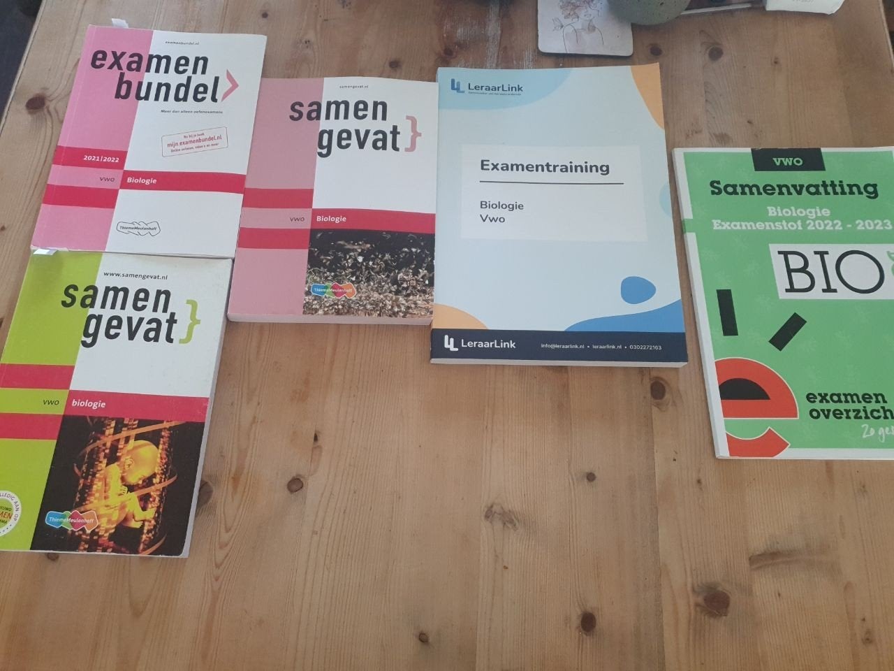 Gratis: samengevat en examenbundel biologie VWO, Ophalen, Beta, Zo goed als nieuw