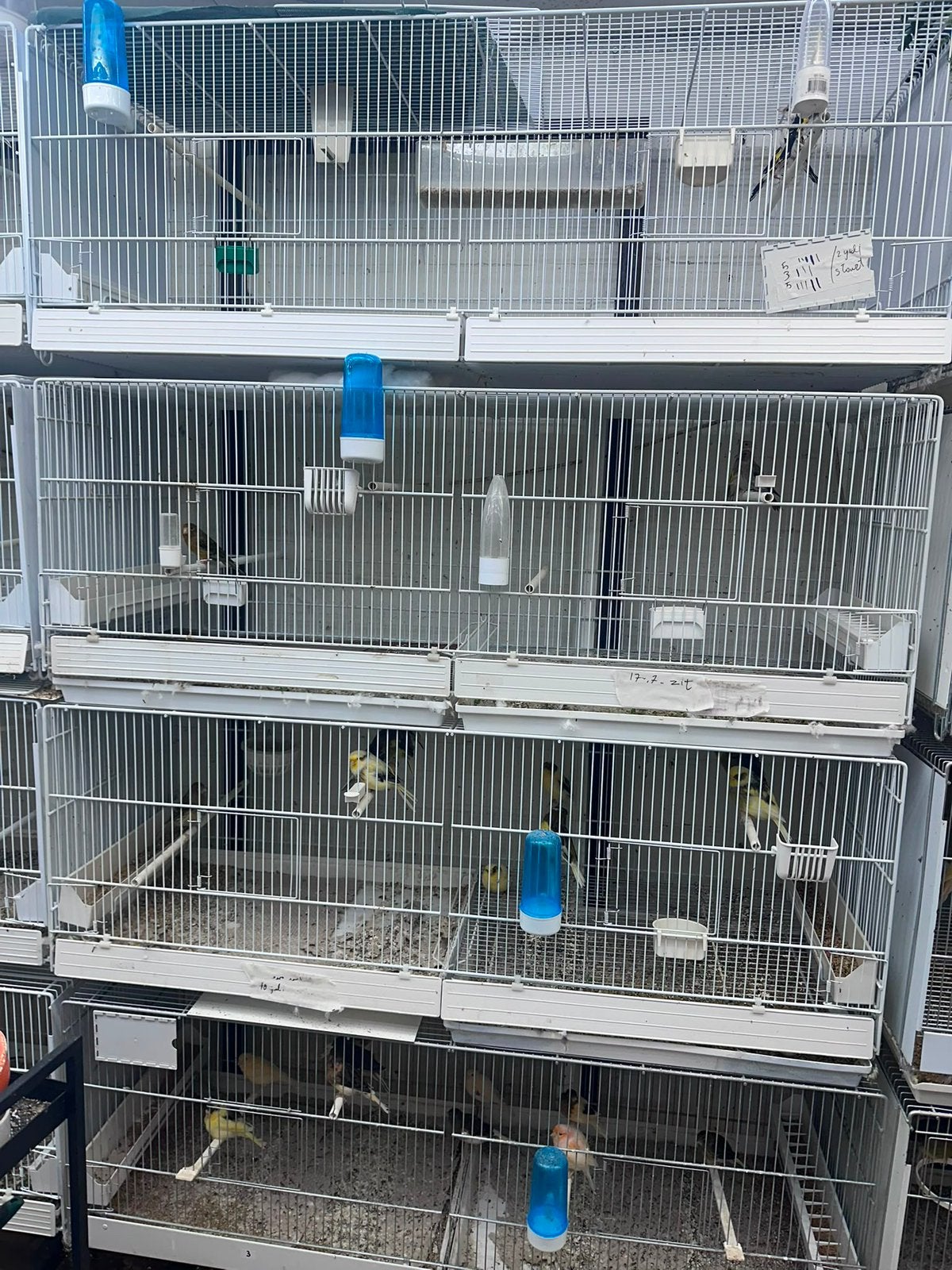 italiaanse kooien te koop, Dieren en Toebehoren, Vogels | Hokken en Kooien, Ophalen, Zo goed als nieuw, Kunststof, Broedkooi of Kweekkooi