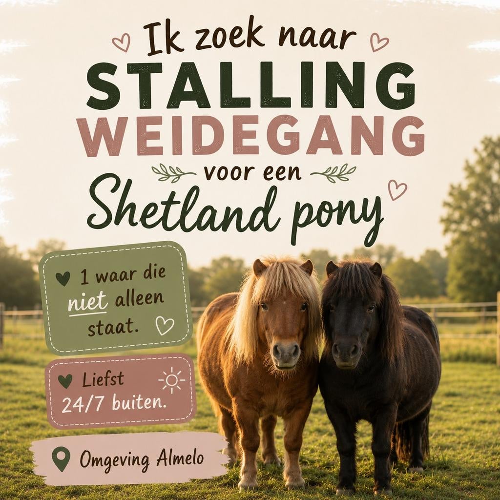 GEZOCHT, WEIDEGANG, Eén persoon