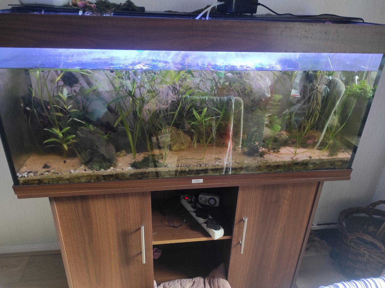 mooi Juwel aquarium 120cm, Dieren en Toebehoren, Gebruikt, Aquariummeubel, Ophalen of Verzenden, Juwel