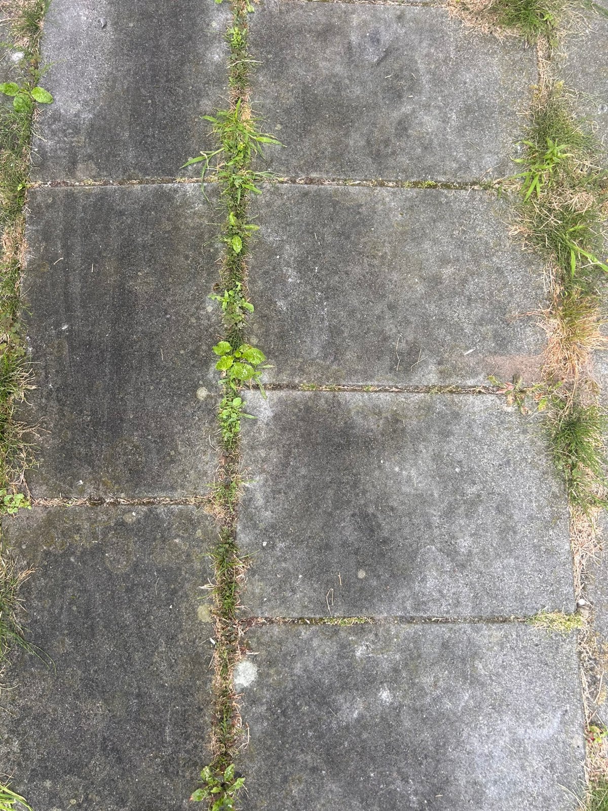 Gratis dit weekend tegels antraciet 60x40, 21m2, Ophalen, Gebruikt, 10 m² of meer, Beton