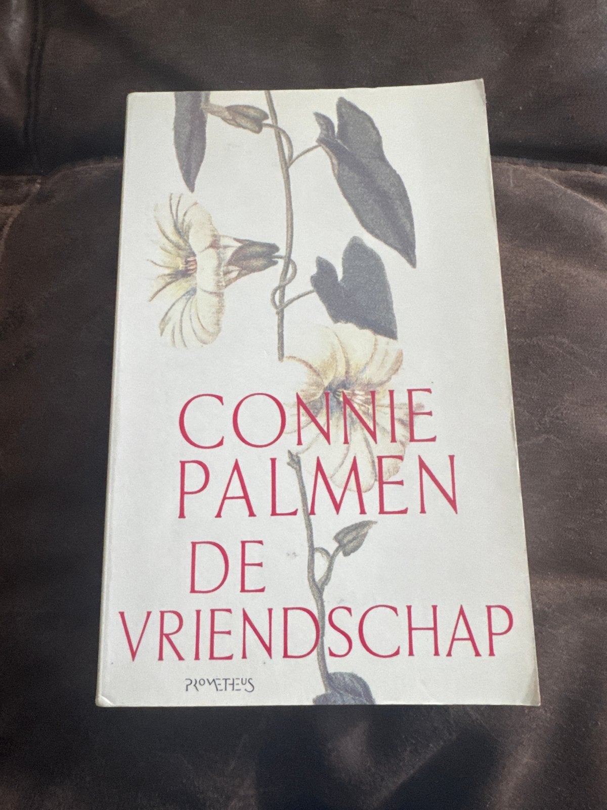 Connie Palmen - De Vriendschap (Boek), Boeken, Ophalen of Verzenden, Gelezen