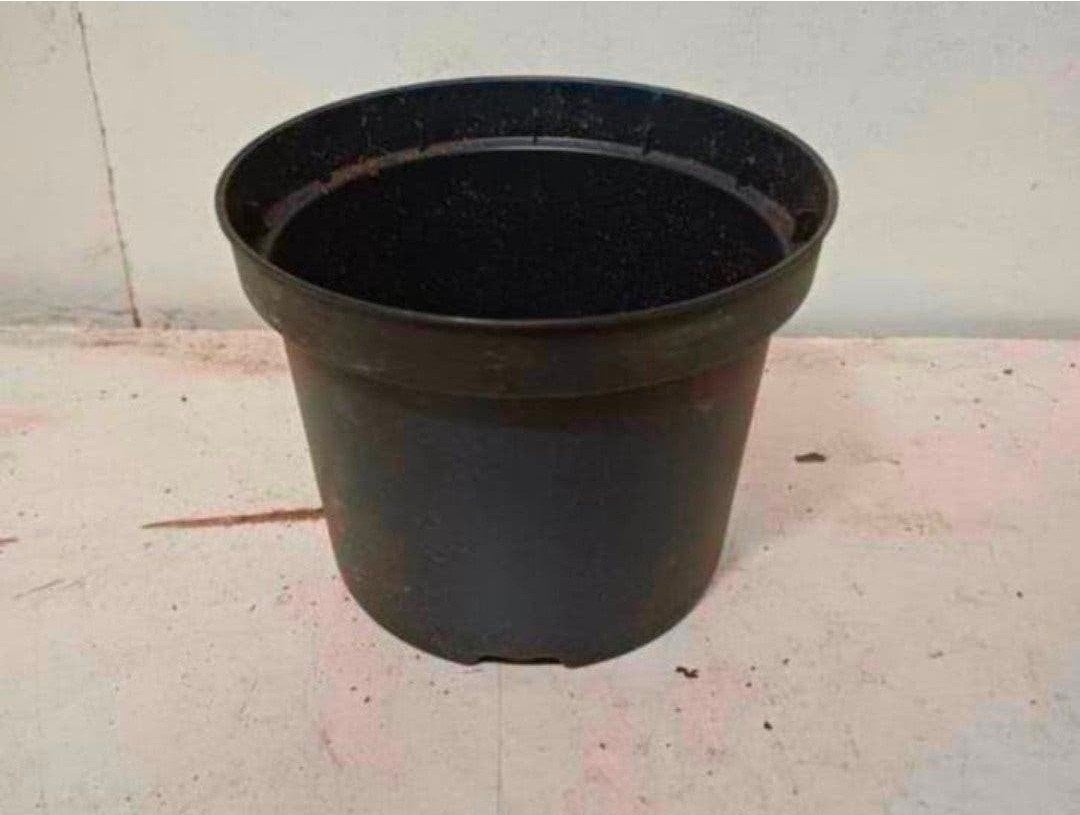 kweekpotten plantenpotten bloempotten 2 liter, Kunststof, Gebruikt, Rond, Ophalen of Verzenden