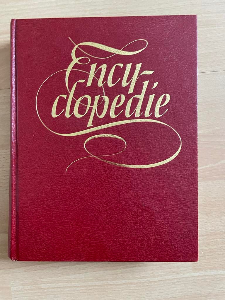 Moderne Nederlandse Encyclopedie in kleuren (1978), Boeken, Encyclopedieën, Ophalen of Verzenden, Zo goed als nieuw, Algemeen