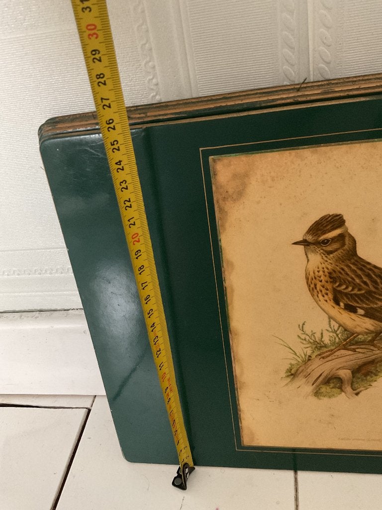 Engelse style, vintage Vogel prenten, Ophalen of Verzenden, Voor 1940, Zo goed als nieuw, Dier