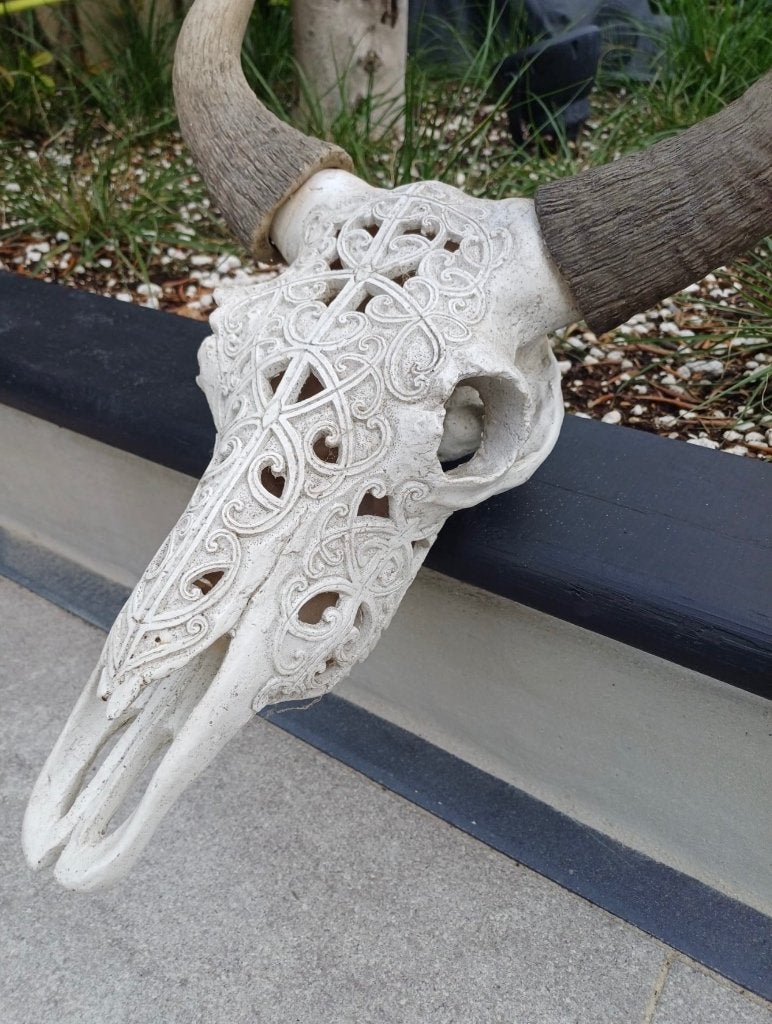 Schedel skull, Ophalen, Schedel