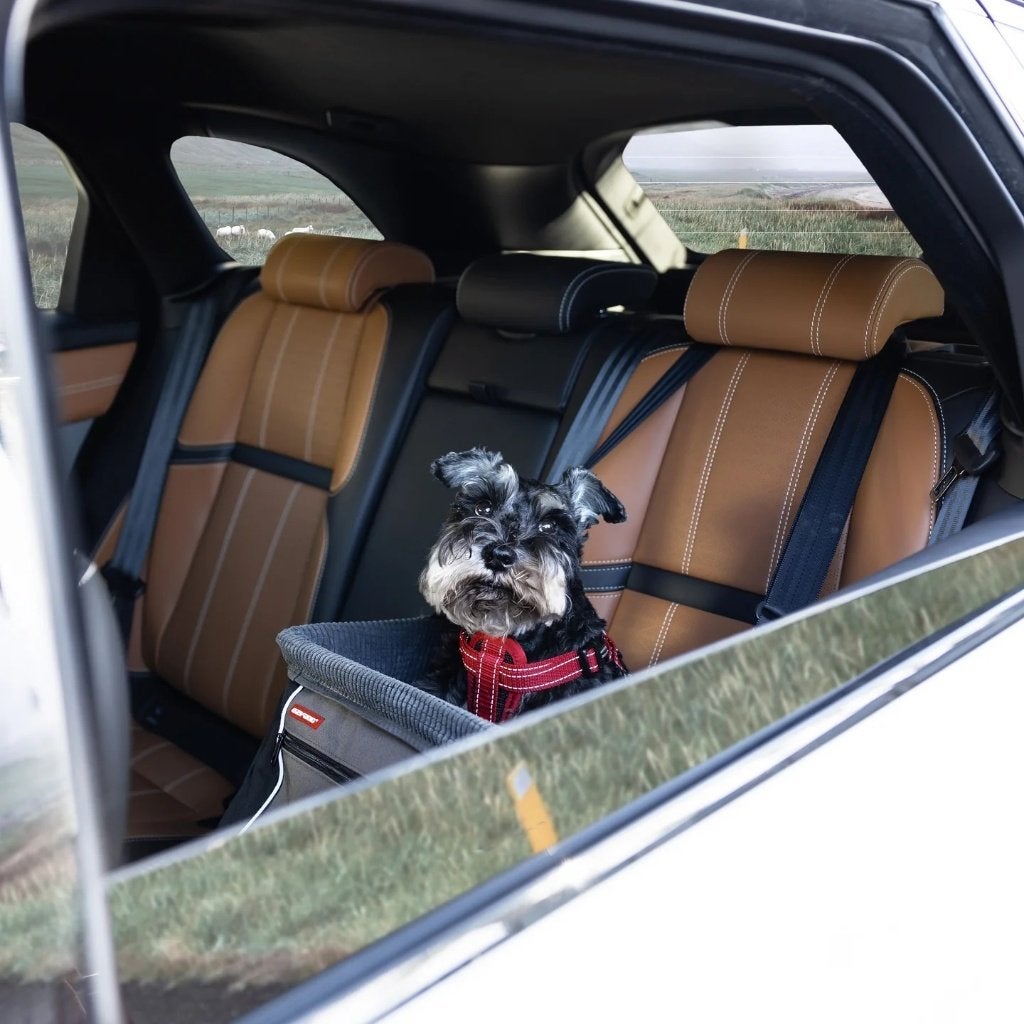 EzyDog Booster Seat – Veilig en comfortabel voor je hond!, Ophalen of Verzenden, Zo goed als nieuw