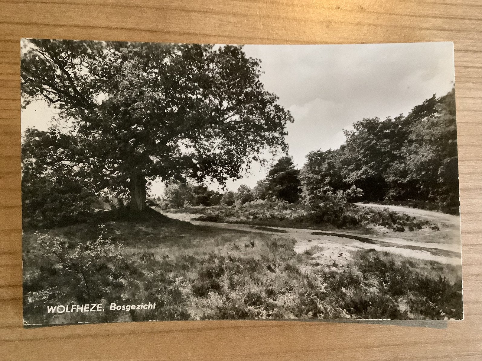 ansichtkaart Wolfheze, Verzenden, 1960 tot 1980, Gelopen