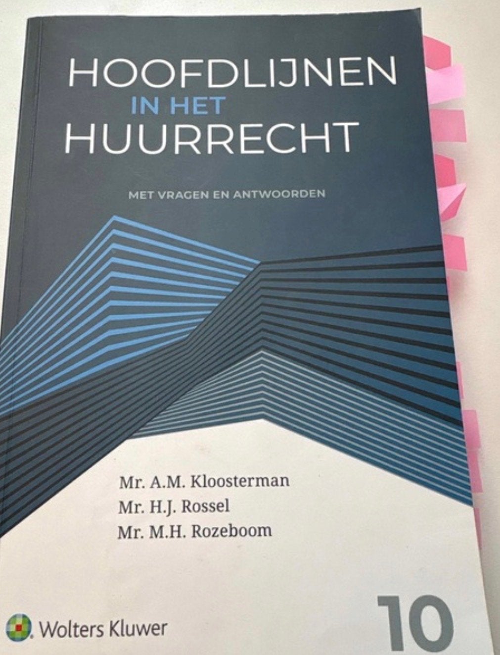 Hoofdlijnen in het Huurrecht, Ophalen of Verzenden, Gamma, Zo goed als nieuw, HBO
