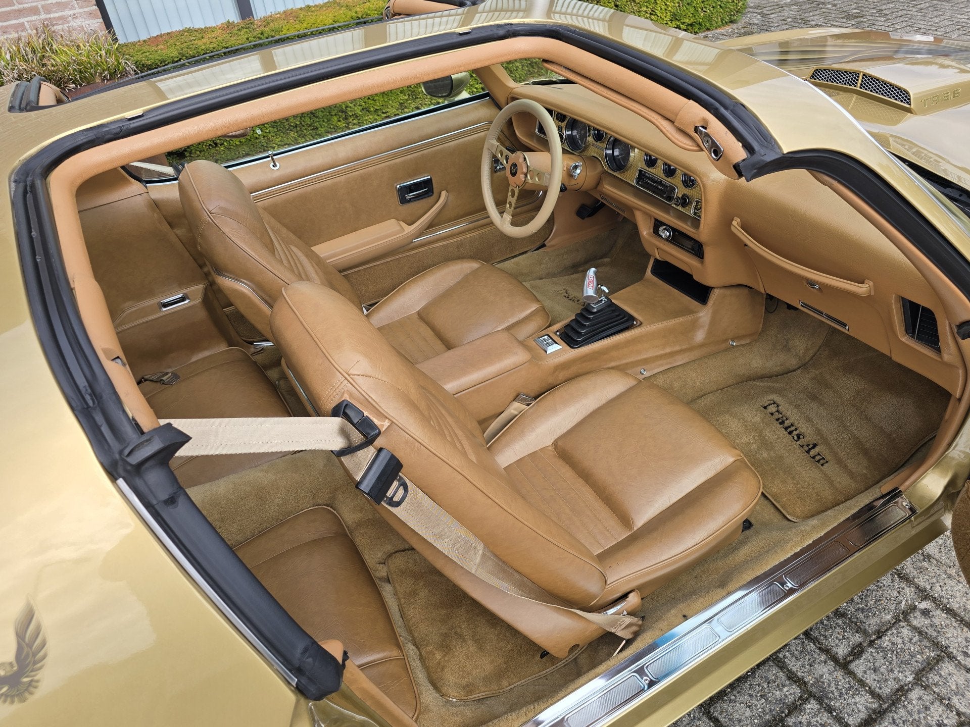 Pontiac Firebird Trans Am 6.6 FW 87 Y88 GOLD SPECIAL EDITION, foto 8