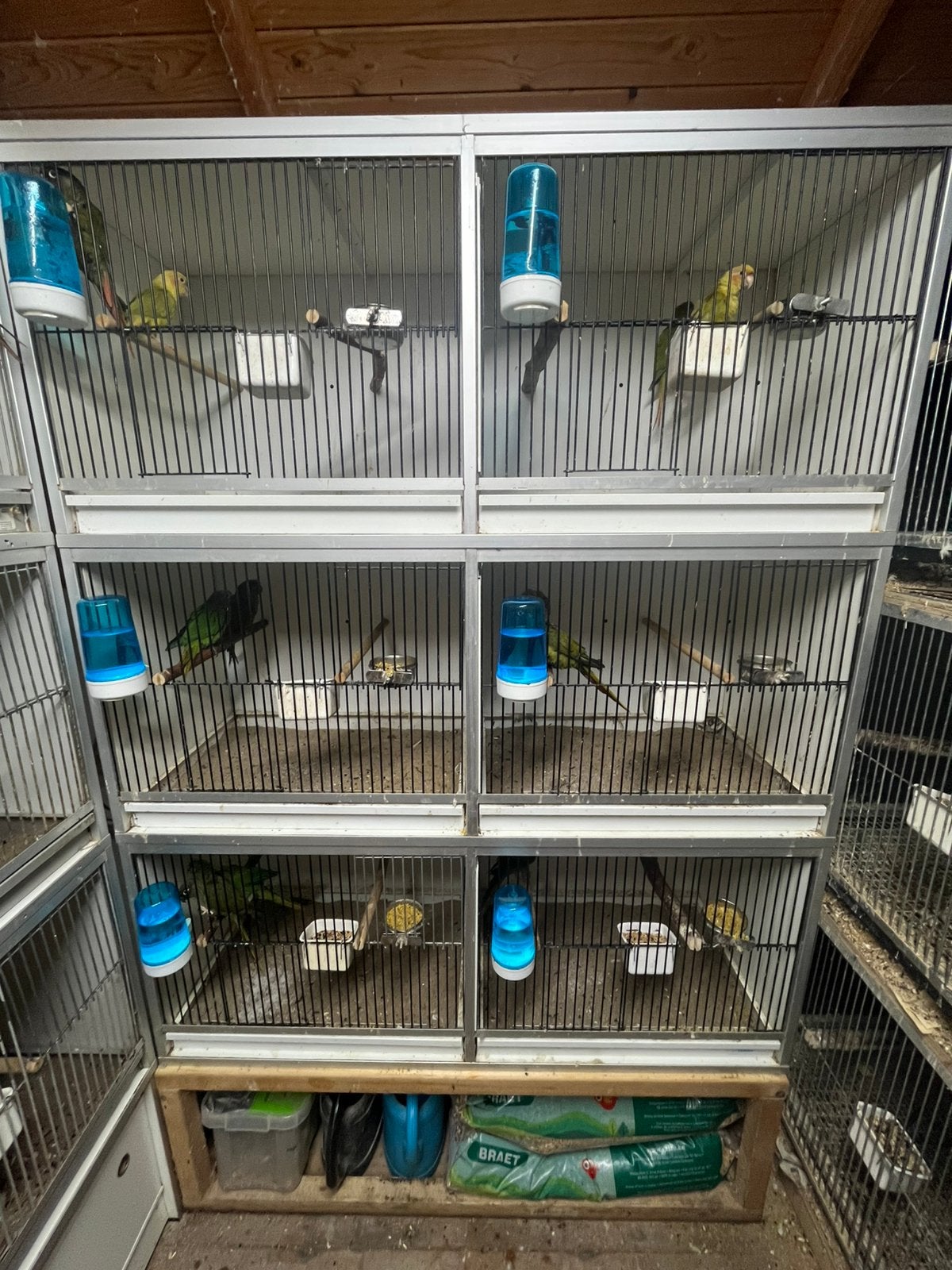 12 Van keulen kooien, Ophalen of Verzenden, Gebruikt, Hout, Broedkooi of Kweekkooi