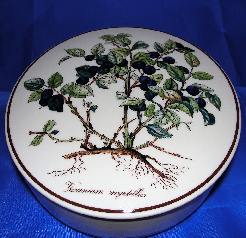 Villeroy&Boch Botanica Dekseldozen Vaccinium Myrtellus, Ophalen of Verzenden