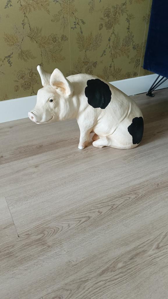 Groot spaarvarken Bonte Bentheimer - kleine beschadiging, Ophalen