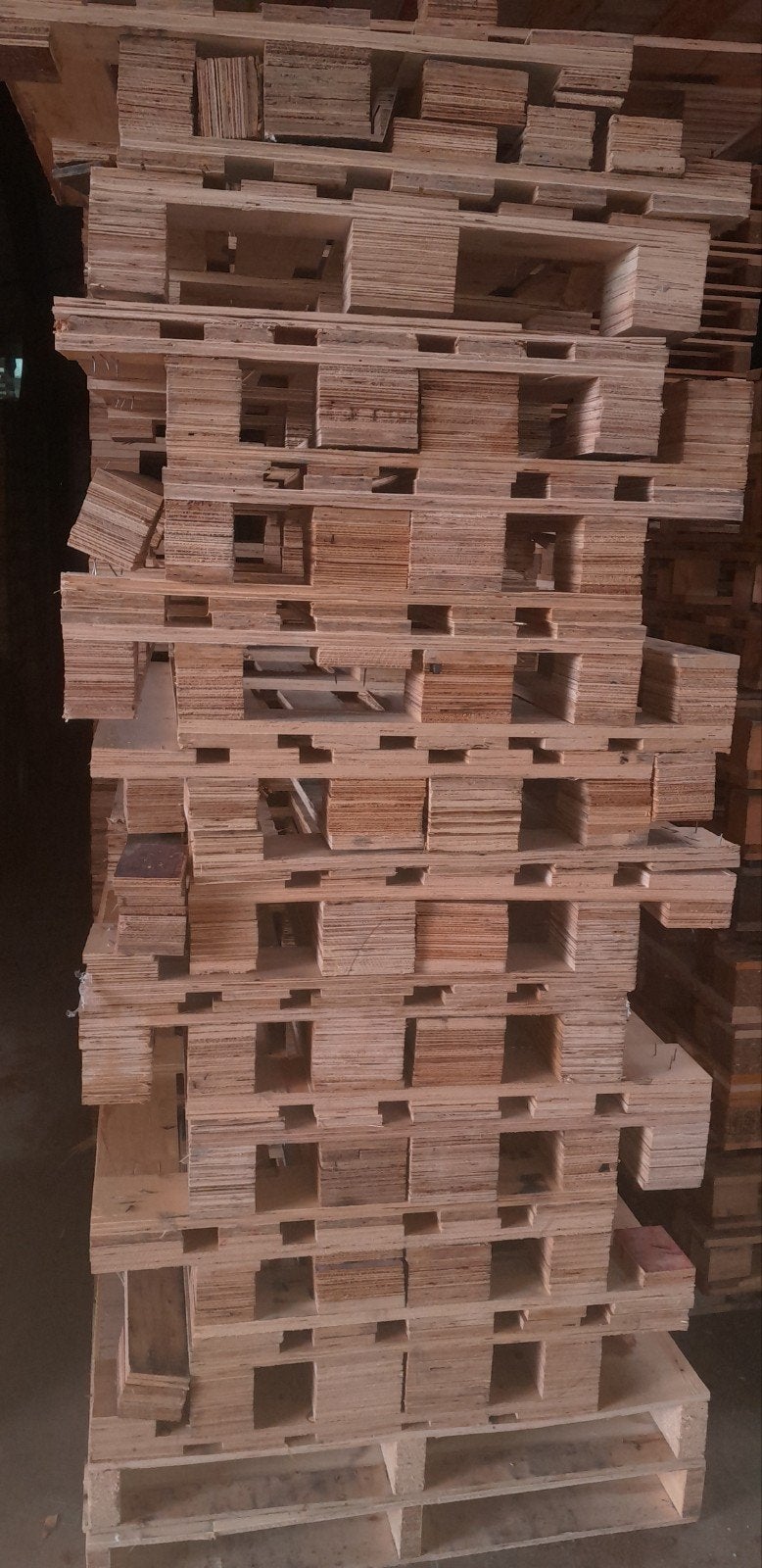 Stookhout pallets gratis afhalen, Ophalen, Overige houtsoorten, Minder dan 200 cm, Pallet