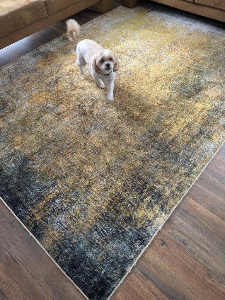 Vloerkleed 200cm bij 280cm, Ophalen, 150 tot 200 cm, Grijs, Modern