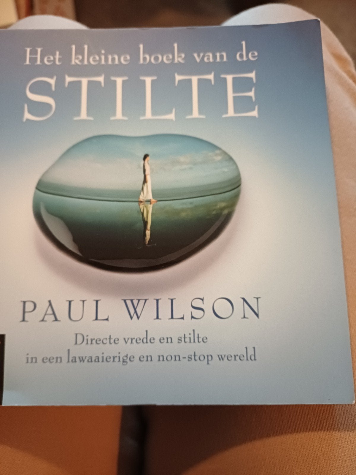 Het kleine boek van de stilte - Paul Wilson, Boeken, Ophalen of Verzenden