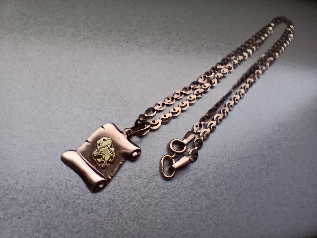 Gouden ketting met een Leeuw zodiac, Sieraden, Tassen en Uiterlijk, Kettingen, Ophalen of Verzenden