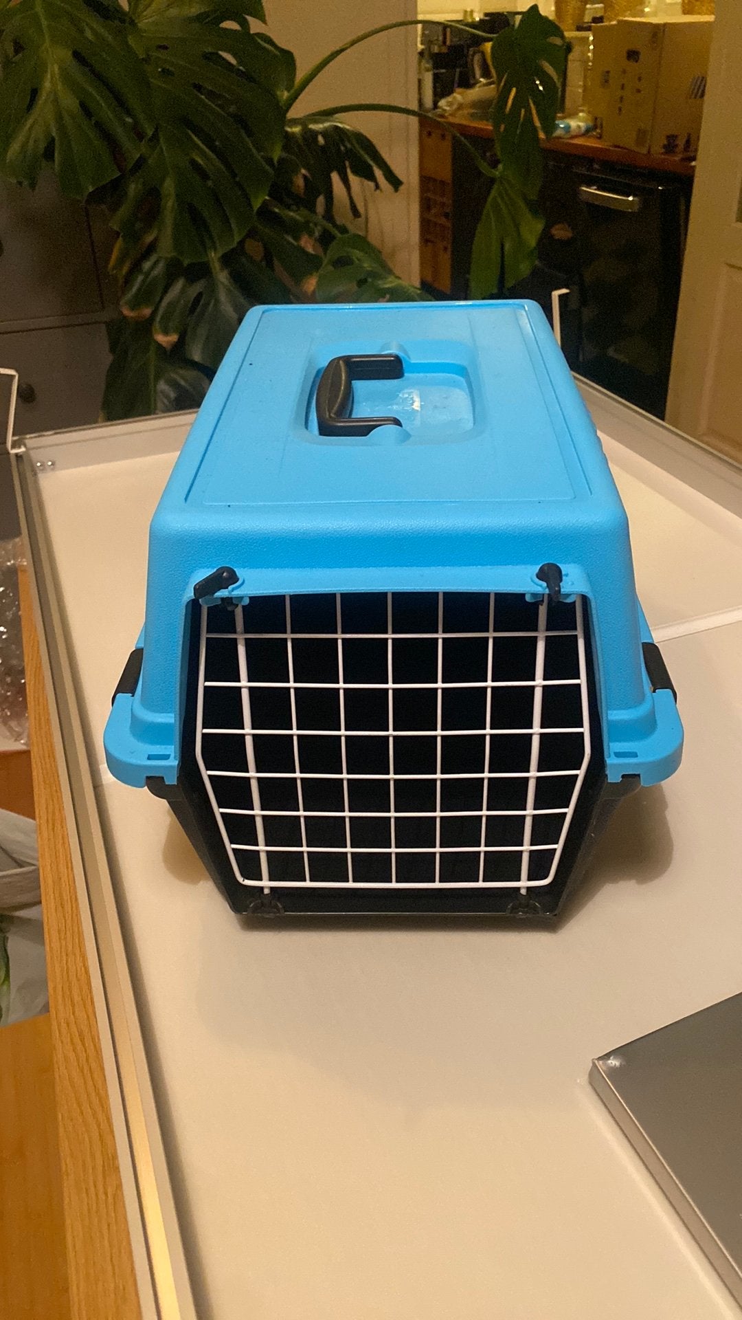 Katten / huisdier reismand, Dieren en Toebehoren, Ophalen, Zo goed als nieuw